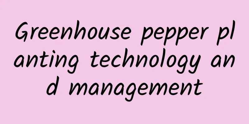 Greenhouse pepper planting technology and management