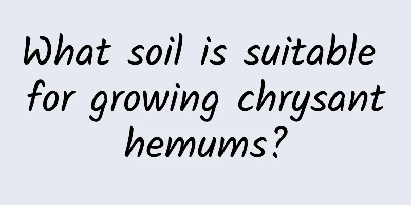 What soil is suitable for growing chrysanthemums?
