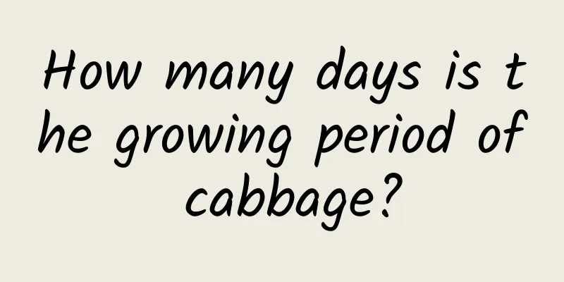 How many days is the growing period of cabbage?