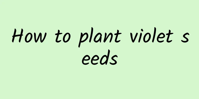 How to plant violet seeds