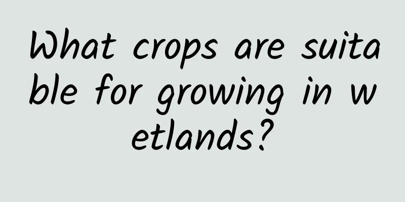 What crops are suitable for growing in wetlands?