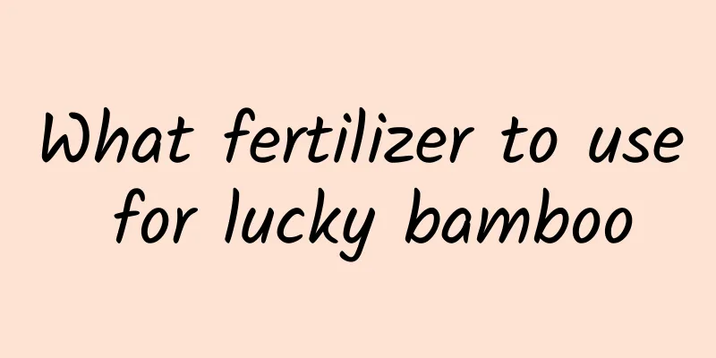 What fertilizer to use for lucky bamboo