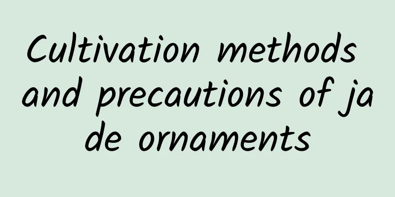 Cultivation methods and precautions of jade ornaments