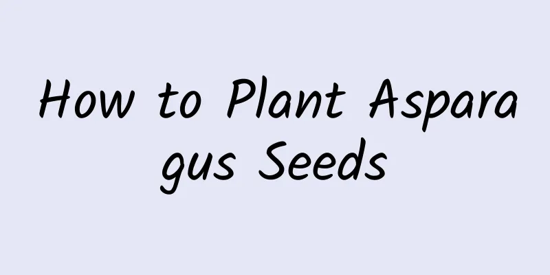 How to Plant Asparagus Seeds