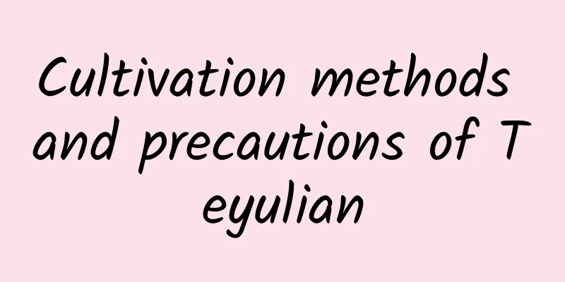 Cultivation methods and precautions of Teyulian
