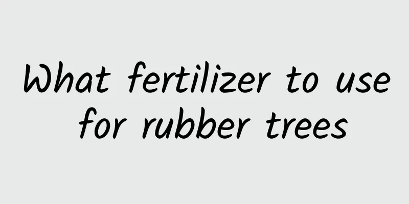 What fertilizer to use for rubber trees
