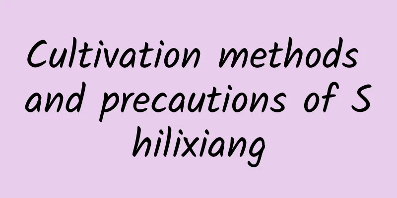 Cultivation methods and precautions of Shilixiang