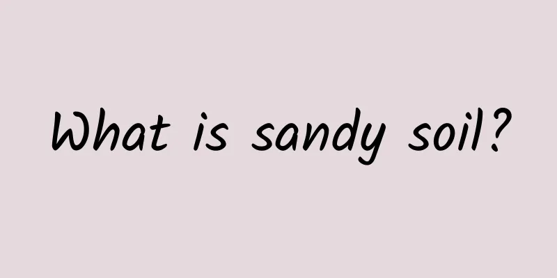 What is sandy soil?
