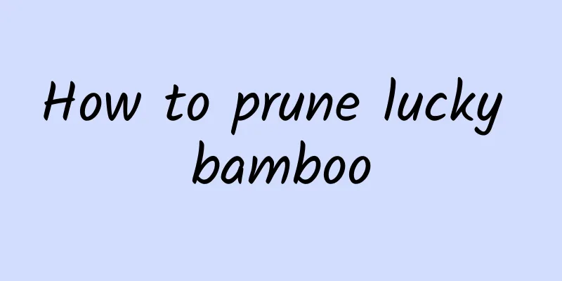 How to prune lucky bamboo