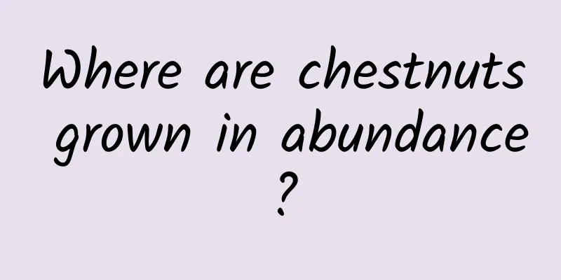 Where are chestnuts grown in abundance?