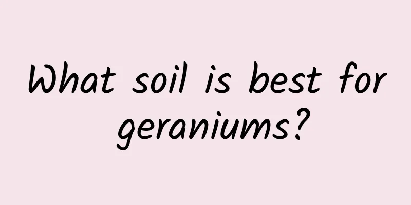 What soil is best for geraniums?