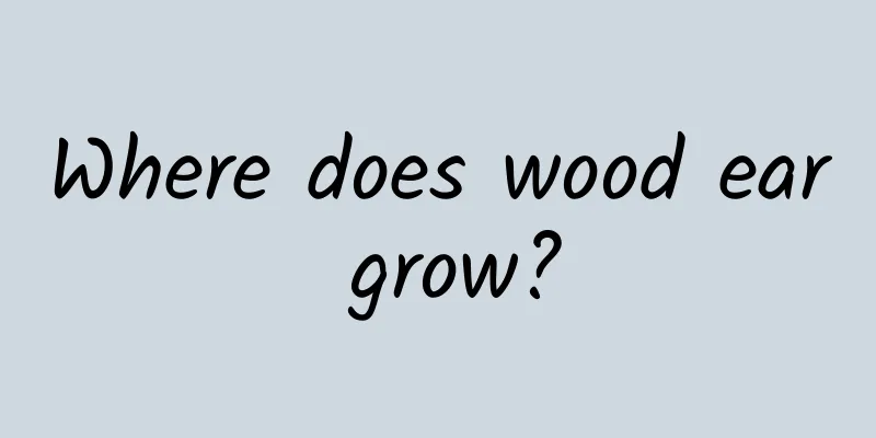 Where does wood ear grow?