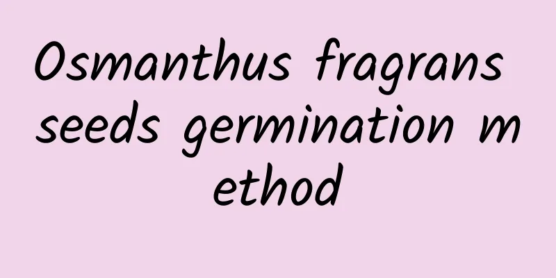 Osmanthus fragrans seeds germination method