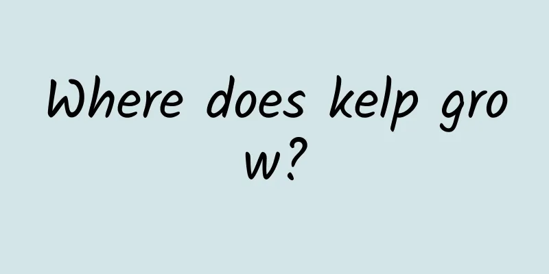 Where does kelp grow?