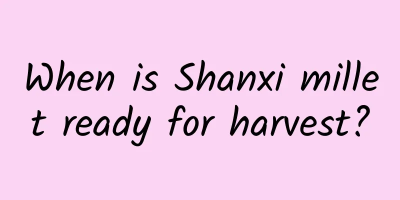 When is Shanxi millet ready for harvest?
