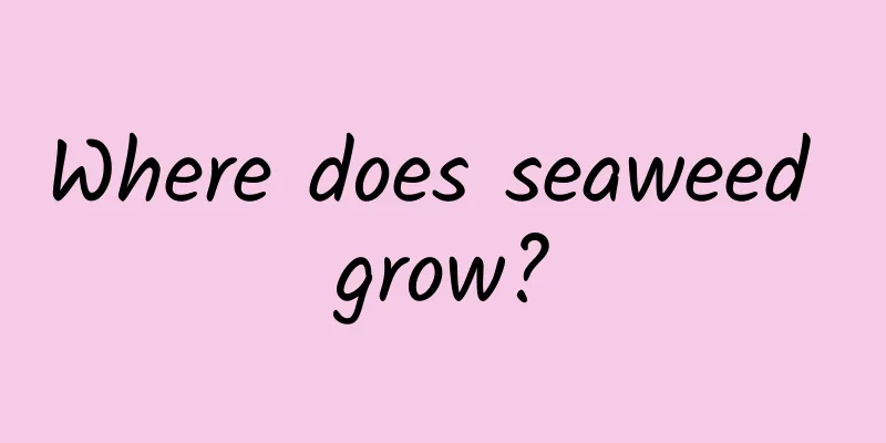 Where does seaweed grow?