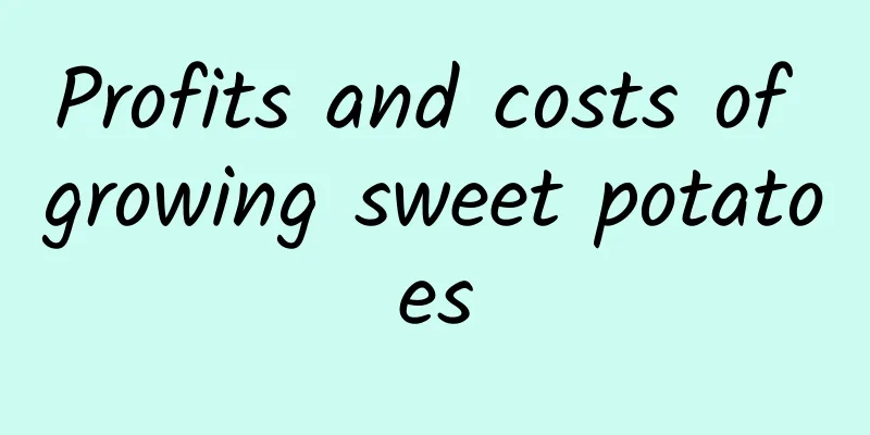 Profits and costs of growing sweet potatoes