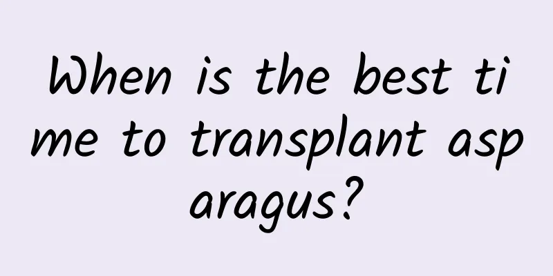 When is the best time to transplant asparagus?