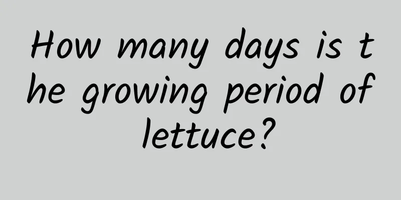 How many days is the growing period of lettuce?