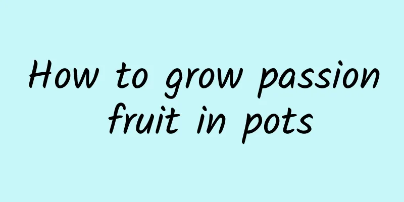 How to grow passion fruit in pots