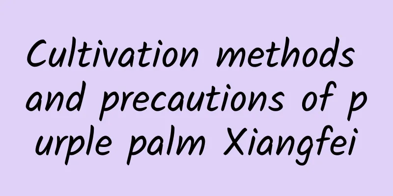 Cultivation methods and precautions of purple palm Xiangfei