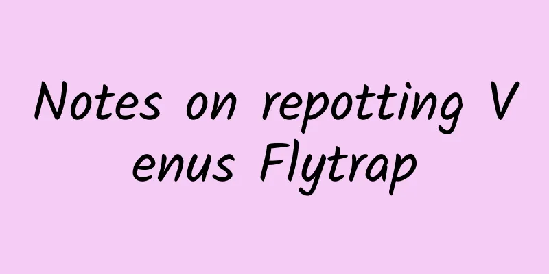 Notes on repotting Venus Flytrap