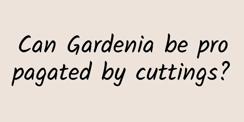 Can Gardenia be propagated by cuttings?