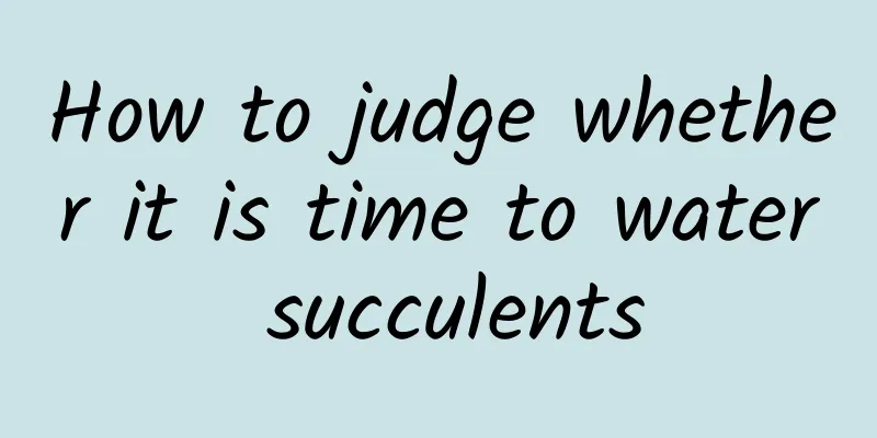 How to judge whether it is time to water succulents