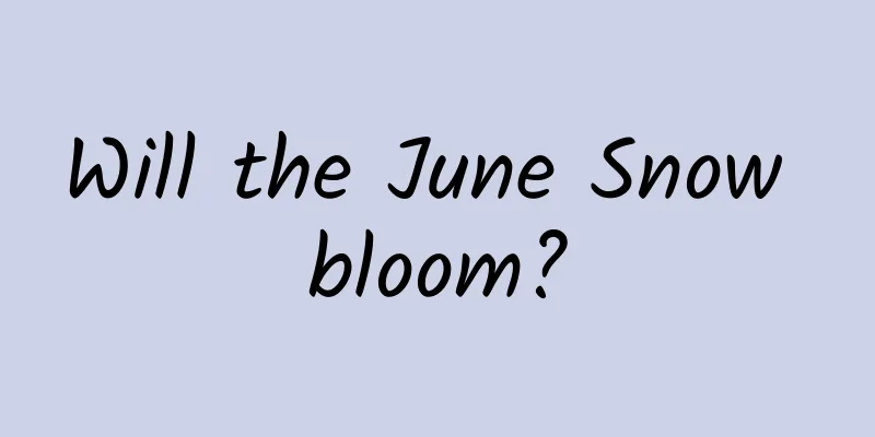 Will the June Snow bloom?