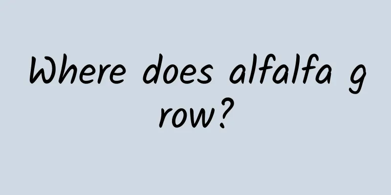 Where does alfalfa grow?