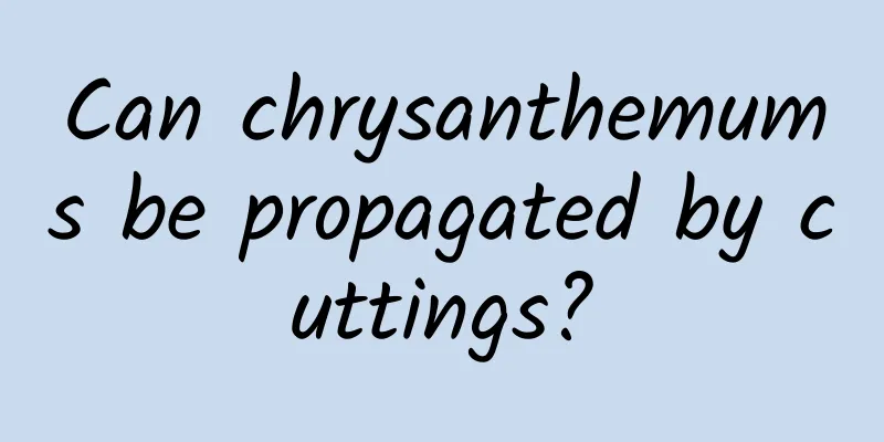 Can chrysanthemums be propagated by cuttings?
