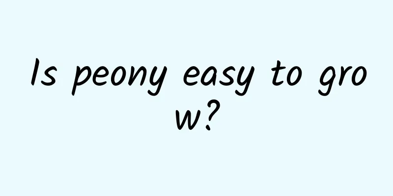 Is peony easy to grow?
