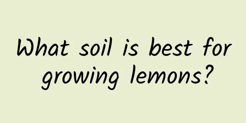 What soil is best for growing lemons?