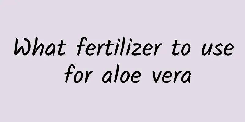 What fertilizer to use for aloe vera