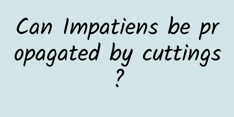 Can Impatiens be propagated by cuttings?