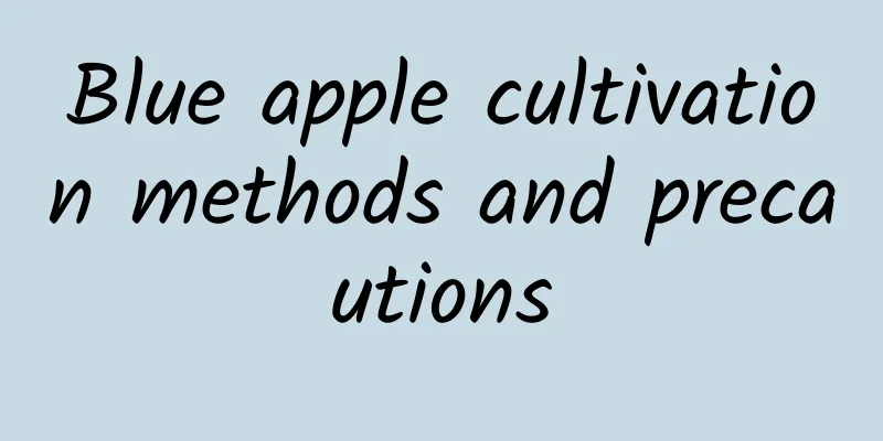 Blue apple cultivation methods and precautions