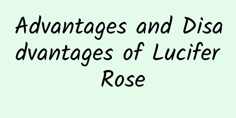 Advantages and Disadvantages of Lucifer Rose