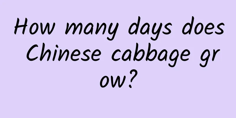 How many days does Chinese cabbage grow?