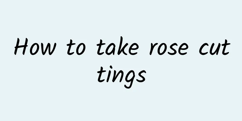 How to take rose cuttings