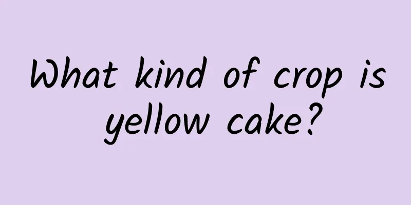 What kind of crop is yellow cake?