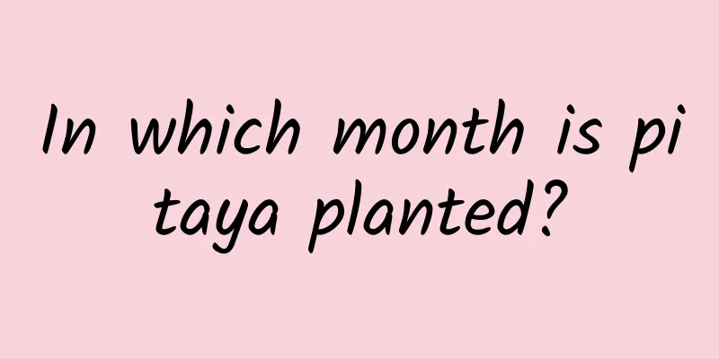 In which month is pitaya planted?
