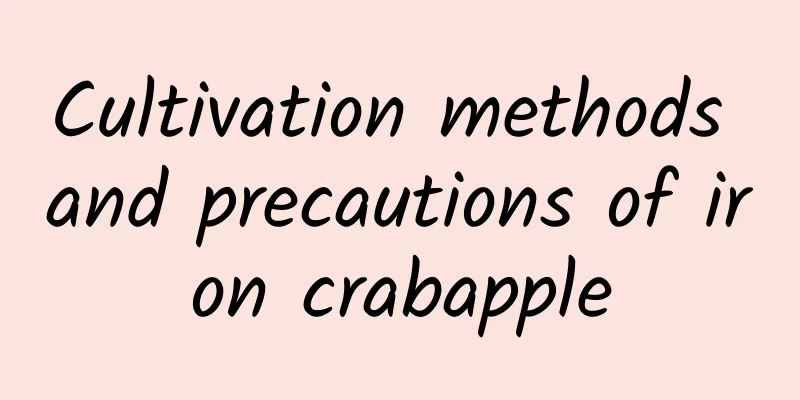 Cultivation methods and precautions of iron crabapple