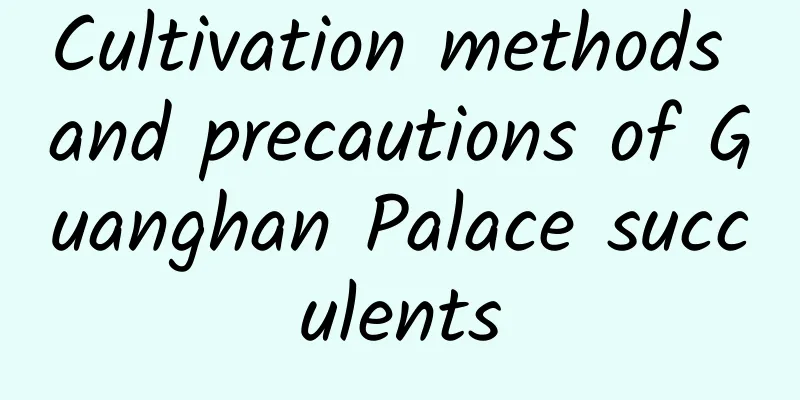 Cultivation methods and precautions of Guanghan Palace succulents