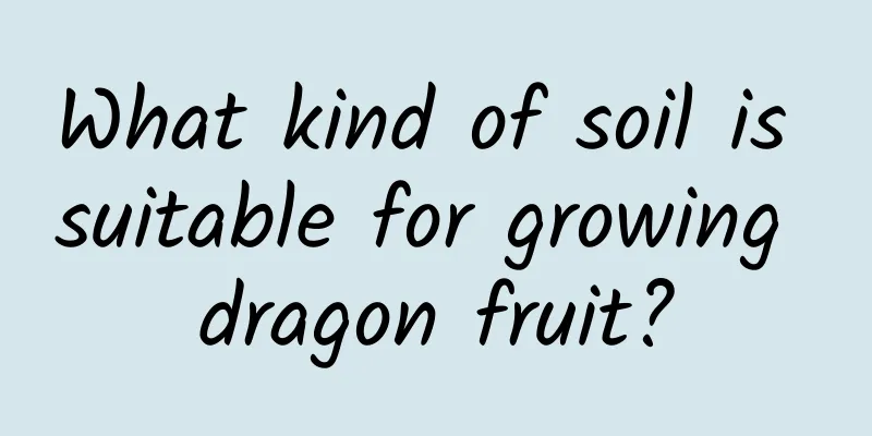 What kind of soil is suitable for growing dragon fruit?
