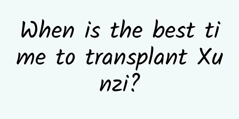 When is the best time to transplant Xunzi?
