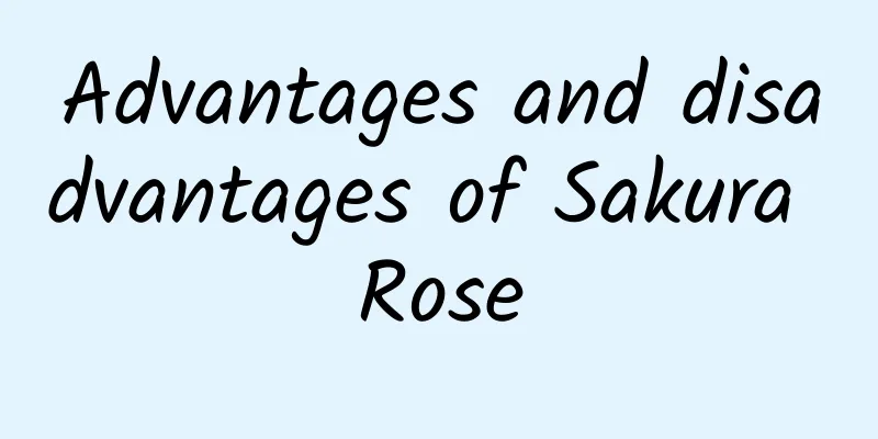 Advantages and disadvantages of Sakura Rose