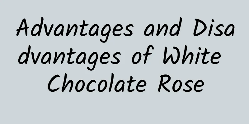 Advantages and Disadvantages of White Chocolate Rose