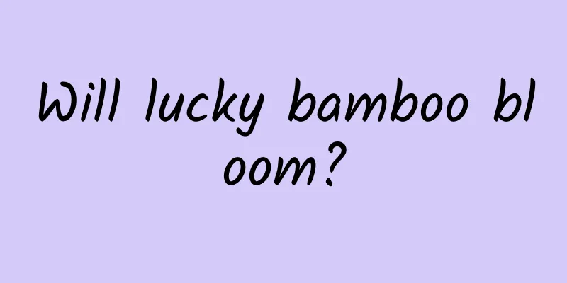 Will lucky bamboo bloom?