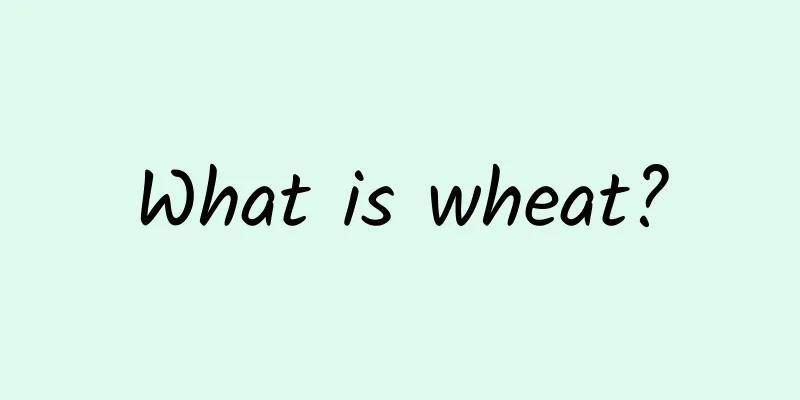 What is wheat?