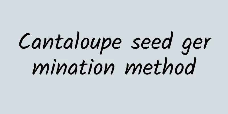 Cantaloupe seed germination method